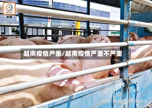 越南疫情严重/越南疫情严重不严重-第2张图片