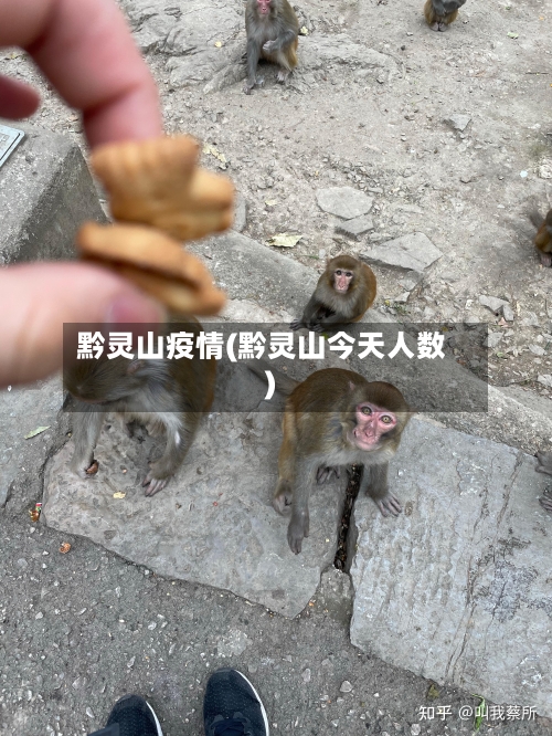 黔灵山疫情(黔灵山今天人数)-第2张图片
