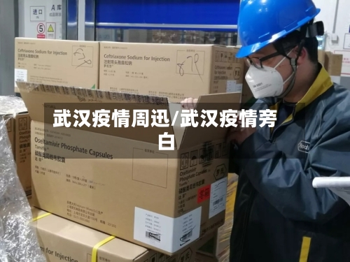 武汉疫情周迅/武汉疫情旁白-第1张图片