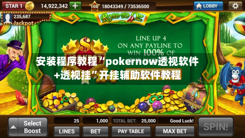 安装程序教程“pokernow透视软件+透视挂”开挂辅助软件教程-第3张图片