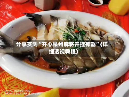 分享实测“开心泉州麻将开挂神器”(详细透视教程)-第3张图片