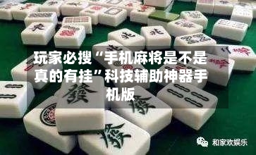 玩家必搜“手机麻将是不是真的有挂”科技辅助神器手机版-第3张图片
