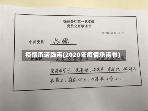 疫情承诺践诺(2020年疫情承诺书)-第2张图片
