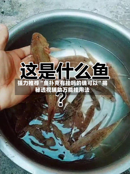 强力推荐“鱼扑克有挂吗的确可以”揭秘透视辅助万能挂用法-第2张图片