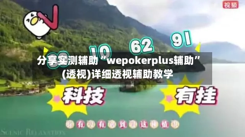 分享实测辅助“wepokerplus辅助	”(透视)详细透视辅助教学-第1张图片