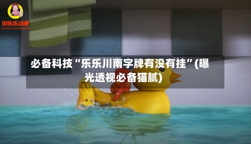 必备科技“乐乐川南字牌有没有挂	”(曝光透视必备猫腻)-第1张图片