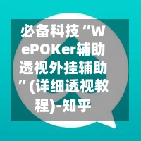 必备科技“WePOKer辅助透视外挂辅助	”(详细透视教程)-知乎-第2张图片
