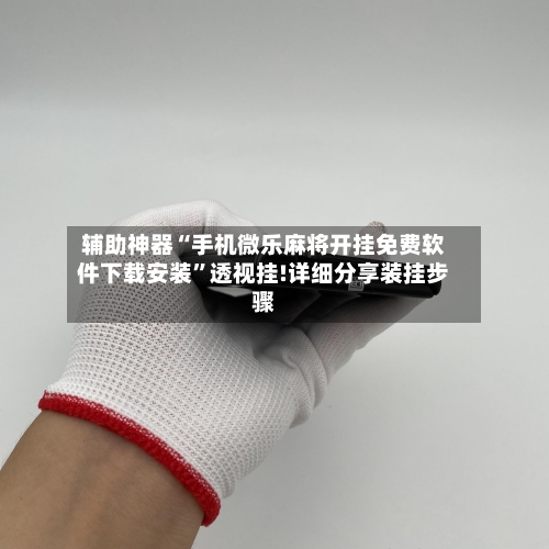 辅助神器“手机微乐麻将开挂免费软件下载安装”透视挂!详细分享装挂步骤-第3张图片