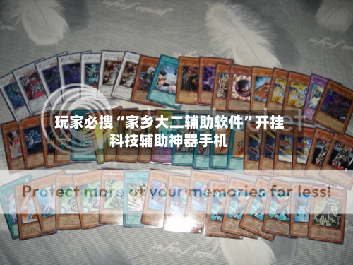 玩家必搜“家乡大二辅助软件”开挂科技辅助神器手机-第2张图片