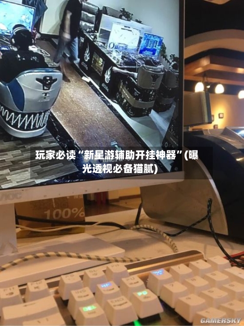 玩家必读“新星游辅助开挂神器”(曝光透视必备猫腻)-第1张图片