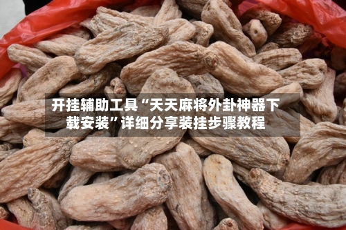 开挂辅助工具“天天麻将外卦神器下载安装”详细分享装挂步骤教程-第1张图片