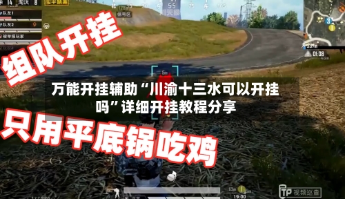 万能开挂辅助“川渝十三水可以开挂吗”详细开挂教程分享-第2张图片