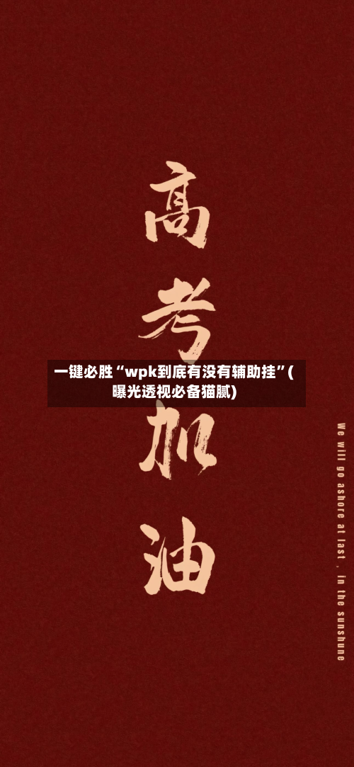 一键必胜“wpk到底有没有辅助挂	”(曝光透视必备猫腻)-第1张图片