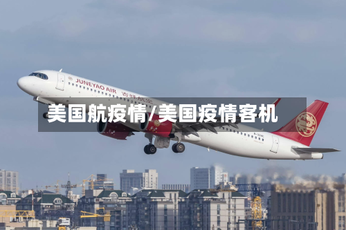 美国航疫情/美国疫情客机-第1张图片
