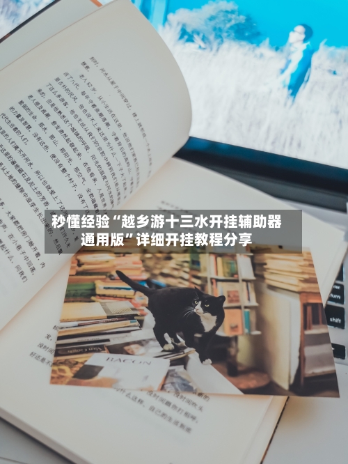 秒懂经验“越乡游十三水开挂辅助器通用版	”详细开挂教程分享-第2张图片