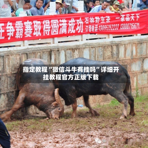 指定教程“微信斗牛有挂吗”详细开挂教程官方正版下载-第2张图片