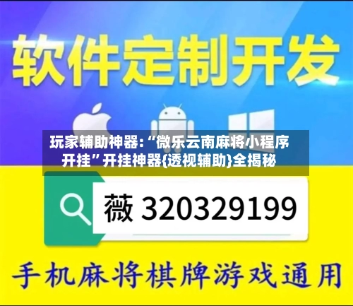 玩家辅助神器:“微乐云南麻将小程序开挂”开挂神器{透视辅助}全揭秘-第2张图片