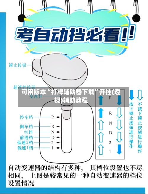 可用版本“打牌辅助器下载”开挂(透视)辅助教程-第3张图片