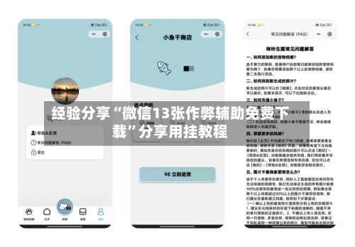 经验分享“微信13张作弊辅助免费下载	”分享用挂教程-第2张图片