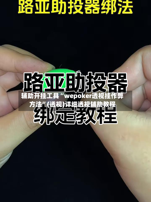 辅助开挂工具“wepoker透视挂作弊方法”(透视)详细透视辅助教程-第3张图片