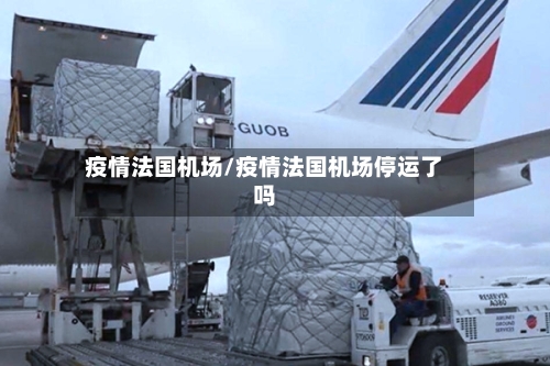 疫情法国机场/疫情法国机场停运了吗-第2张图片