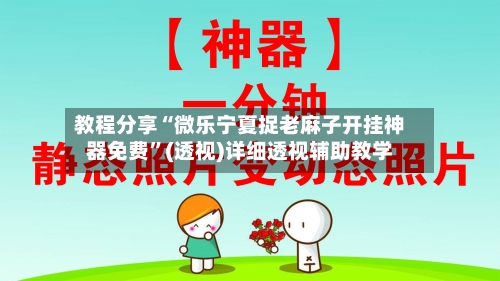 教程分享“微乐宁夏捉老麻子开挂神器免费	”(透视)详细透视辅助教学-第2张图片