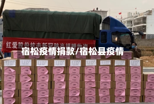 宿松疫情捐款/宿松县疫情-第1张图片