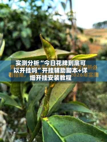 实测分析“今日花牌到底可以开挂吗	”开挂辅助脚本+详细开挂安装教程-第1张图片