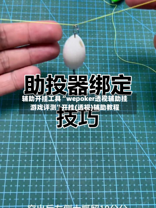 辅助开挂工具“wepoker透视辅助挂游戏评测”开挂(透视)辅助教程-第2张图片