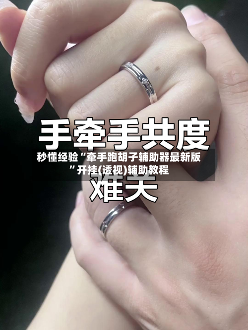 秒懂经验“牵手跑胡子辅助器最新版”开挂(透视)辅助教程-第2张图片