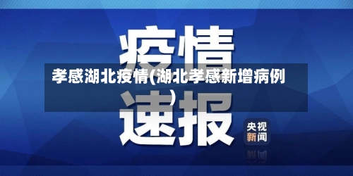 孝感湖北疫情(湖北孝感新增病例)-第2张图片