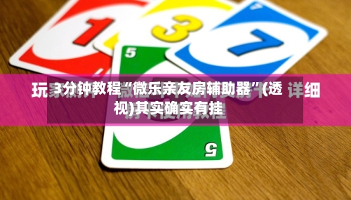 3分钟教程“微乐亲友房辅助器	”(透视)其实确实有挂-第2张图片