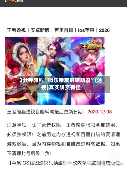 3分钟教程“微乐亲友房辅助器”(透视)其实确实有挂-第1张图片