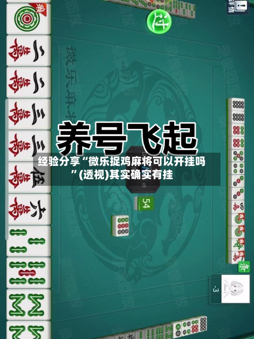 经验分享“微乐捉鸡麻将可以开挂吗”(透视)其实确实有挂-第1张图片