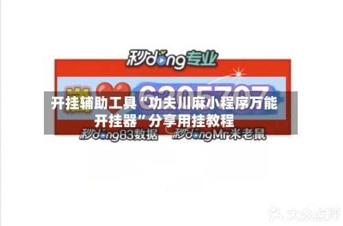 开挂辅助工具“功夫川麻小程序万能开挂器	”分享用挂教程-第2张图片
