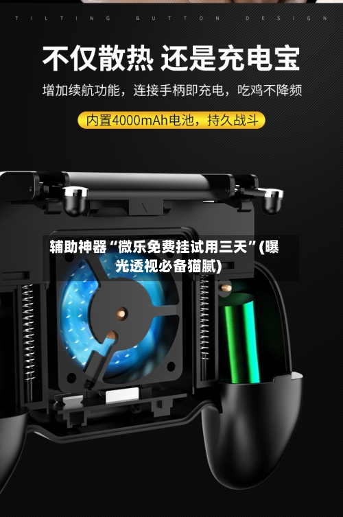 辅助神器“微乐免费挂试用三天”(曝光透视必备猫腻)-第1张图片