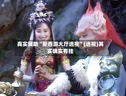 真实辅助“新西游大厅透视	”(透视)其实确实有挂-第2张图片