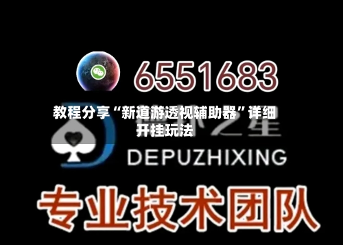 教程分享“新道游透视辅助器”详细开挂玩法-第2张图片