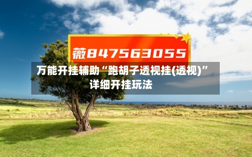 万能开挂辅助“跑胡子透视挂(透视)”详细开挂玩法-第3张图片