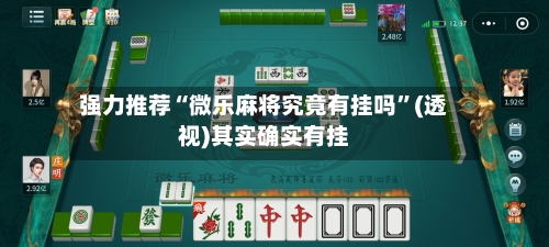 强力推荐“微乐麻将究竟有挂吗	”(透视)其实确实有挂-第2张图片