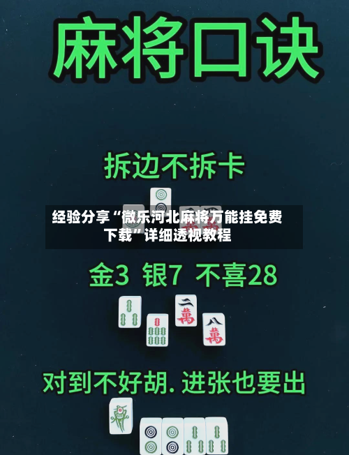 经验分享“微乐河北麻将万能挂免费下载”详细透视教程-第3张图片