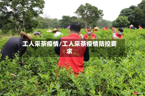 工人采茶疫情/工人采茶疫情防控要求-第1张图片