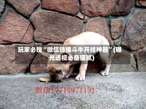 玩家必搜“微信链接斗牛开挂神器”(曝光透视必备猫腻)-第1张图片