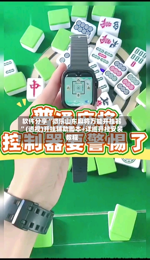 软件分享“微乐山东麻将万能开挂器”(透视)开挂辅助脚本+详细开挂安装教程-第2张图片