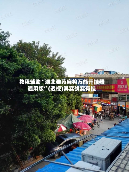 教程辅助“湖北雅苑麻将万能开挂器通用版”(透视)其实确实有挂-第2张图片