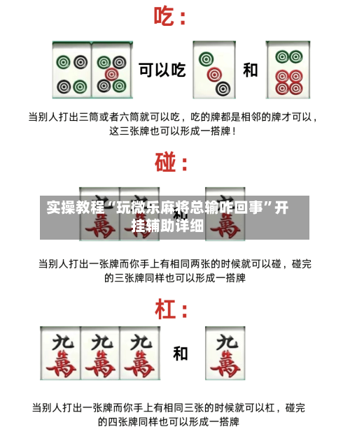 实操教程“玩微乐麻将总输咋回事	”开挂辅助详细-第2张图片