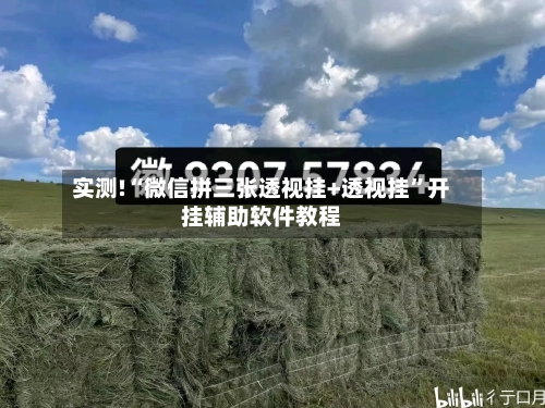 实测!“微信拼三张透视挂+透视挂”开挂辅助软件教程-第1张图片