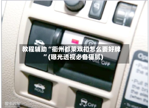 教程辅助“衢州都莱双扣怎么要好牌”(曝光透视必备猫腻)-第3张图片