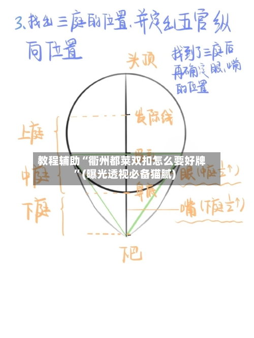 教程辅助“衢州都莱双扣怎么要好牌	”(曝光透视必备猫腻)-第2张图片