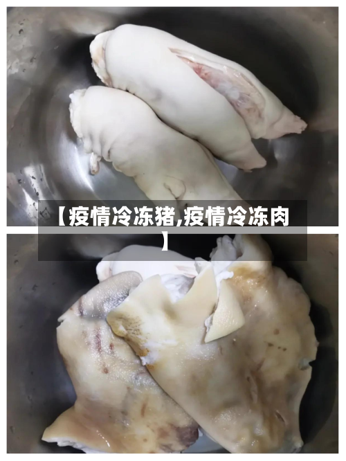 【疫情冷冻猪,疫情冷冻肉】-第2张图片